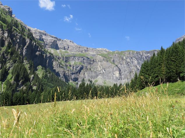 Itinéraire pédestre : Refuge et alpage des fonts - Refuge des Fonts