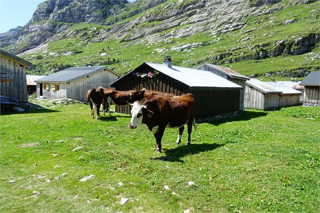 Photo Randonnée vers Refuge de Sales sous licence Creative Commons https://creativecommons.org/licen