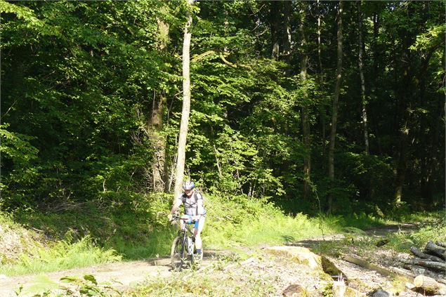 Circuit VTT-VTC 3 bleu - L'arboretum d'Etrez - Espace Bresse Base FFvélo