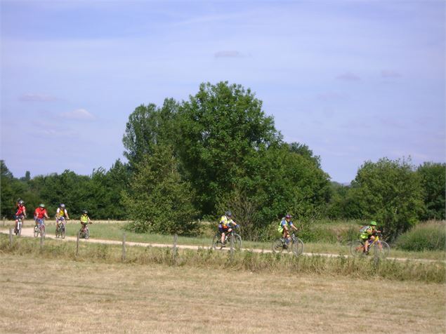 Circuit VTT-VTC 3 bleu - L'arboretum d'Etrez - Espace Bresse Base FFvélo