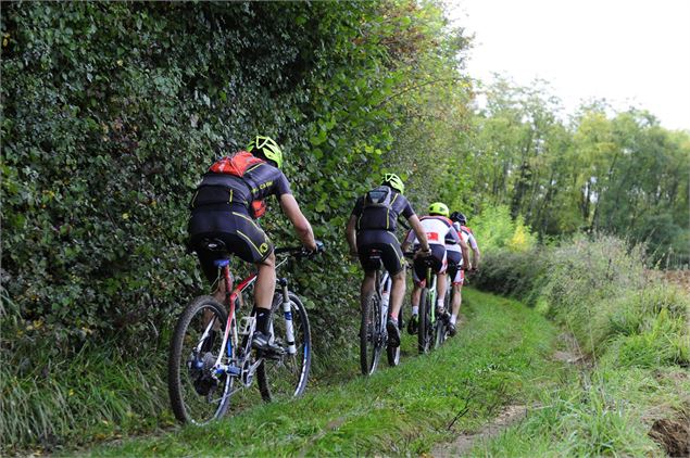 Circuit VTT-VTC 3 bleu - L'arboretum d'Etrez - Espace Bresse Base FFvélo
