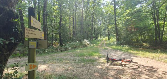 VTT-VTC en Bresse - scalland