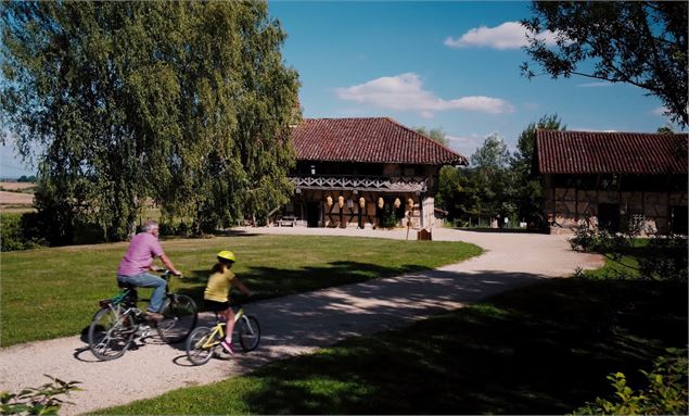 Circuit VTT-VTC n°19 (rouge) La Bresse de St Trivier - GBA