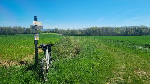 Circuit VTT-VTC n°14 (rouge)_Hauts de la vallée de la Reyssouze - GBA