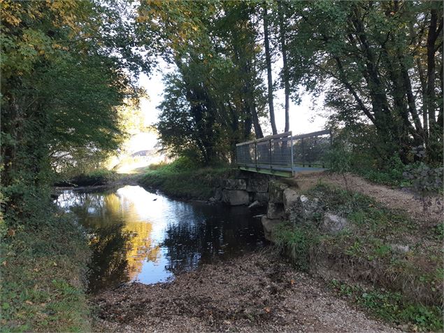 Attignat - Confluence de la Reyssouze et du Jugnon - scalland
