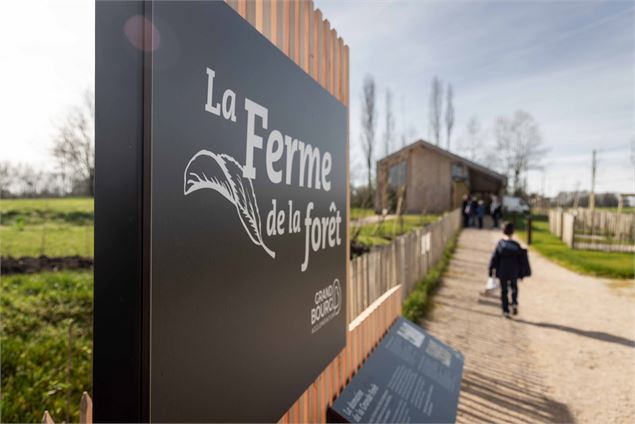 Ferme de la Forêt - Morgane Monneret
