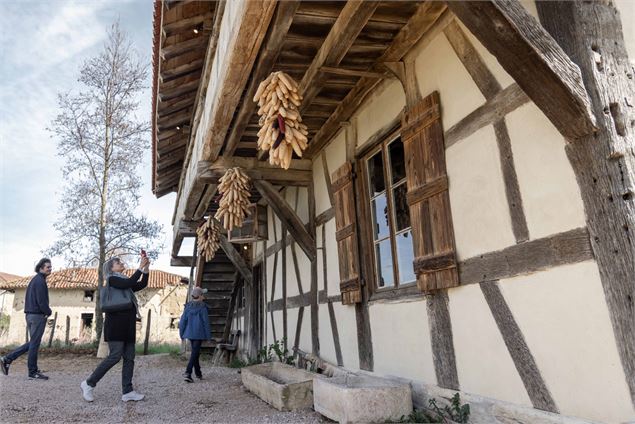 Ferme de la Forêt - Morgane Monneret