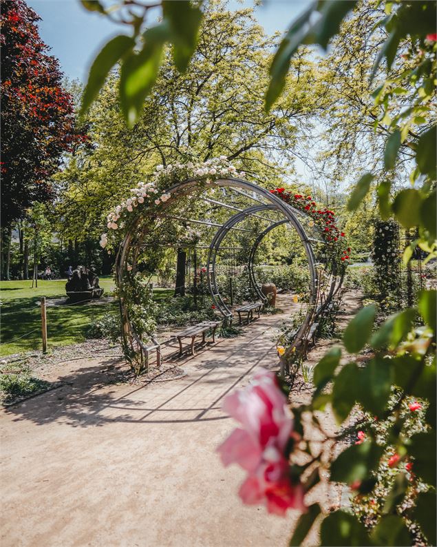 Parc des Écureuils_Ville-la-Grand - A.Modylevskaia