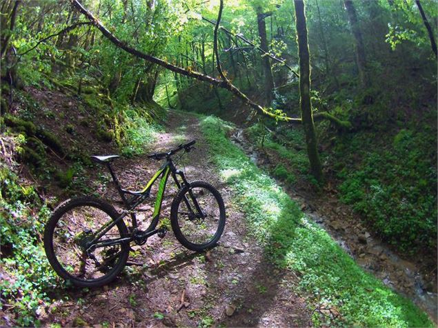 Circuit VTT 5 vert - Forêt de la Rousse - Bois de Valuisant - Espace Revermont Base FFvélo - Sébasti
