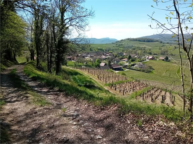 Chemin de Vallières - Christophe Maurel