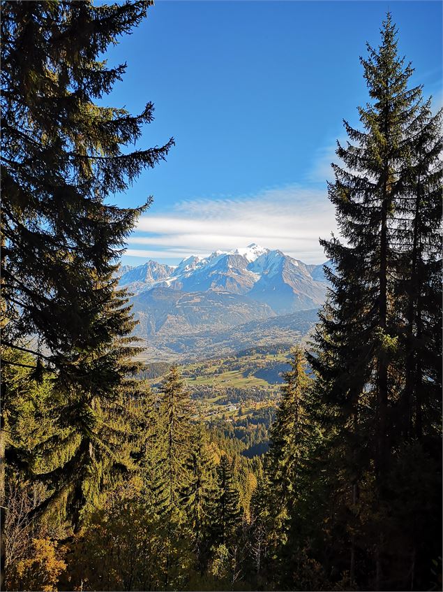 Vue depuis le chemin de Tête Noire - Jean Marc Barey