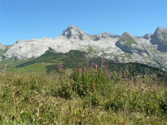 Sur le parcours du Tour du Lachat - Alpcat Medias