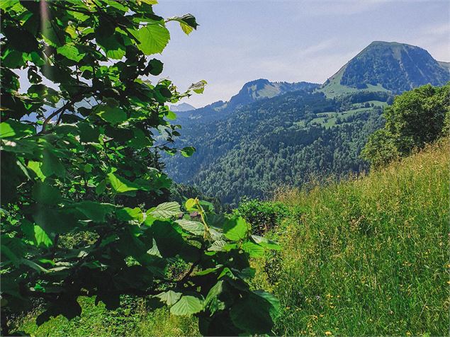 Source Saint François de Sales_Manigod - OT Manigod