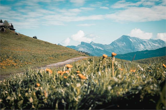 Tour de l'Andran_Manigod - Tilby Vattard