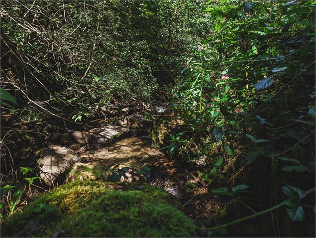 Le Nant Bruyant_Manigod - OT Manigod