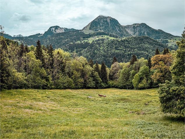 Le Nant Bruyant_Manigod - OT Manigod
