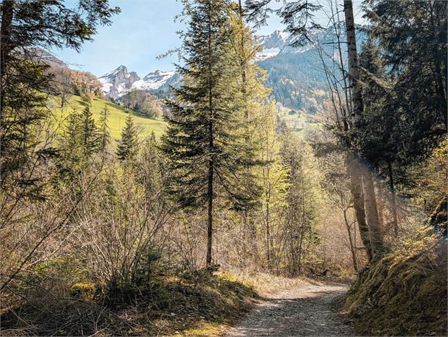 La cascade de Nant Burgeat_Manigod - OT Manigod