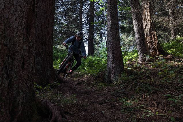 Piste verte descendante Renardeau_Manigod - Tilby Vattard