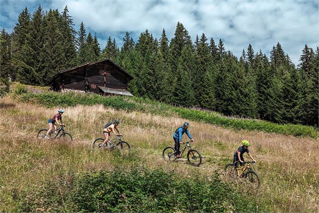 Piste verte descendante Aiglon_Manigod - Tilby Vattard