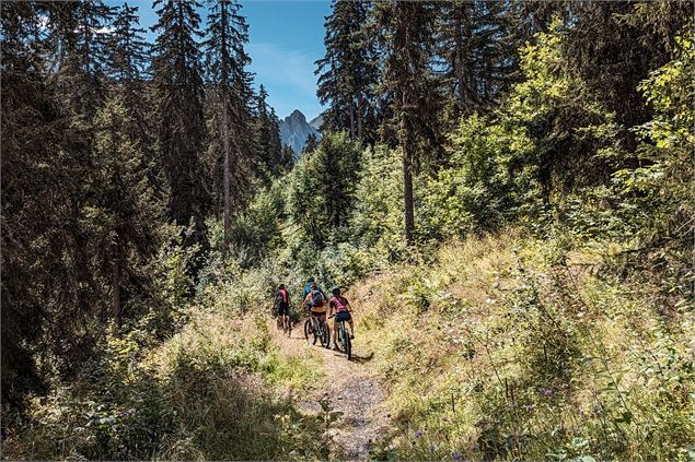 Piste verte descendante Aiglon_Manigod - Tilby Vattard