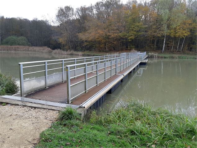 Etang de Fougemagne - S CALLAND
