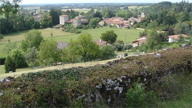 De la Bresse à la Vallée de l'Ain