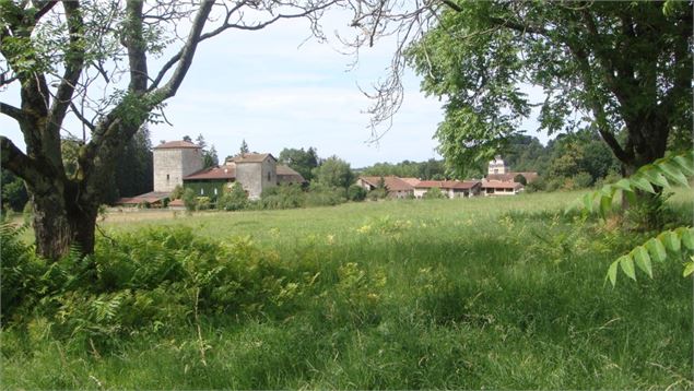 De la Bresse à la Vallée de l'Ain