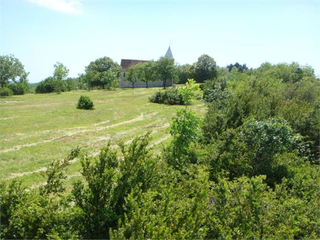 Randonnée - La chapelle des Conches