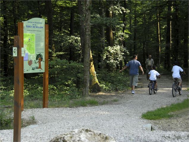 Balade Le gros Chêne - Forêt Domaniale de Seillon - OTBBD