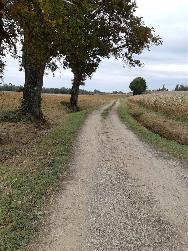 Balade - L'arboretum d'Etrez & ND de Bourbouillon - scalland