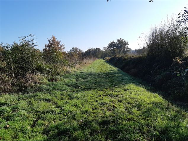 Attignat - Confluence de la Reyssouze et du Jugnon - scalland