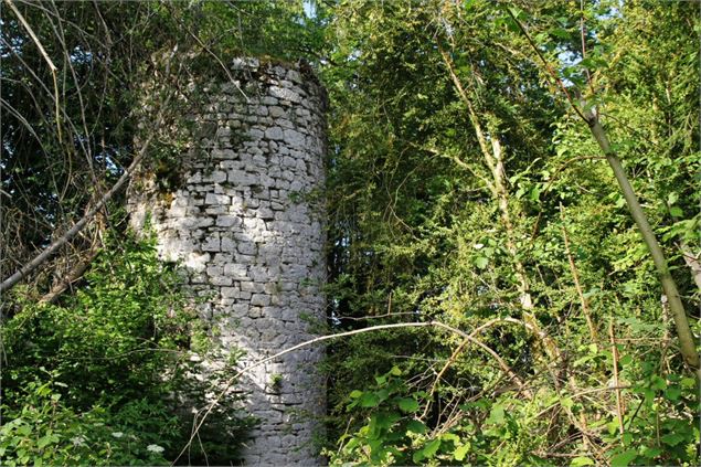 Château ruiné de Mont Didier - Pierre Jayet
