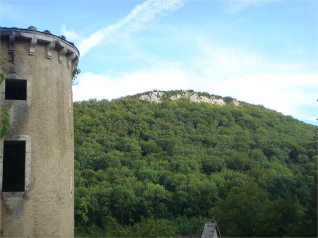 Château de Rosy