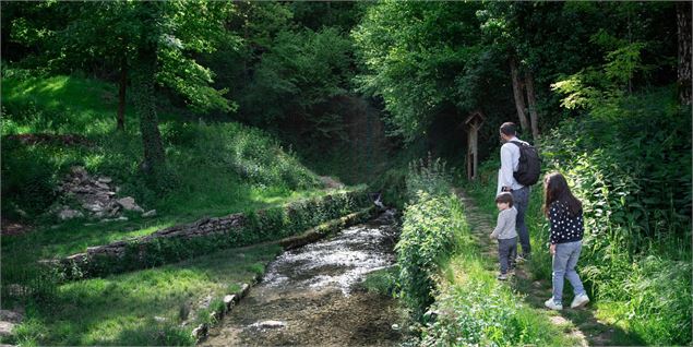 Vignoble de Journans - Belvédère du Mont Rignat_Journans - Tossiat
