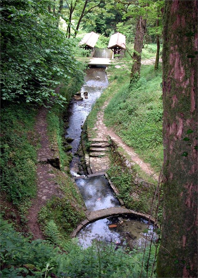 Vignoble de Journans - Belvédère du Mont Rignat_Journans - Tossiat