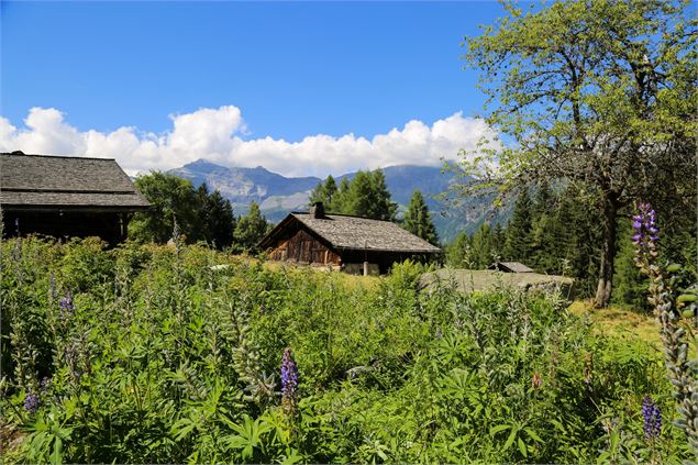 Charousse - S. ABRIAL - OT Vallée de Chamonix