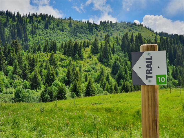 Trail Manigod - Tilby Vattard