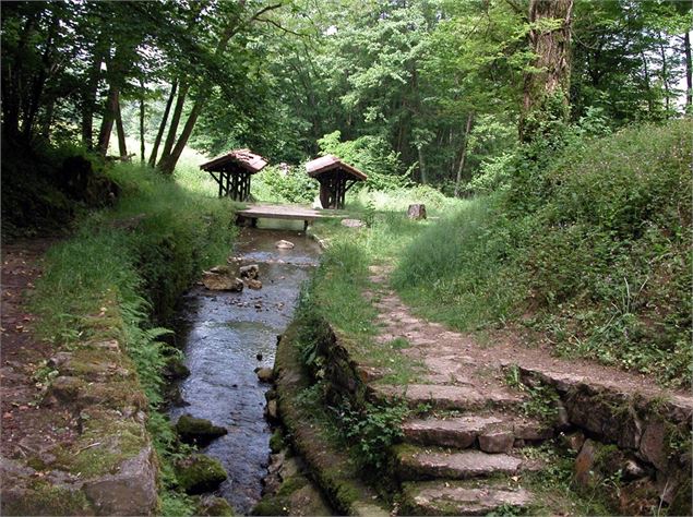 Circuit VTT n°20 (bleu) Passerelle des Vendangeurs - Journans la Sce - Mizenboite