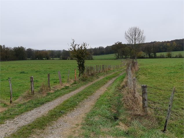 VTT-VTC en Bresse - scalland