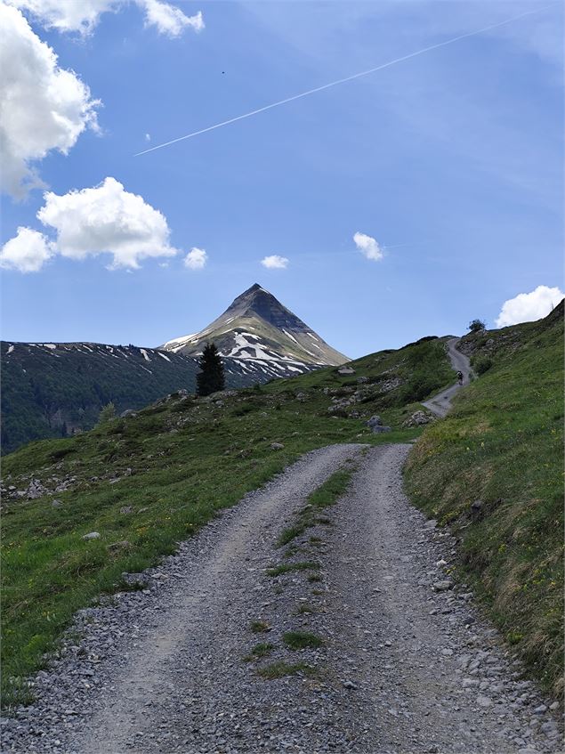En direction des Chalets de Coeur - Cordon Tourisme