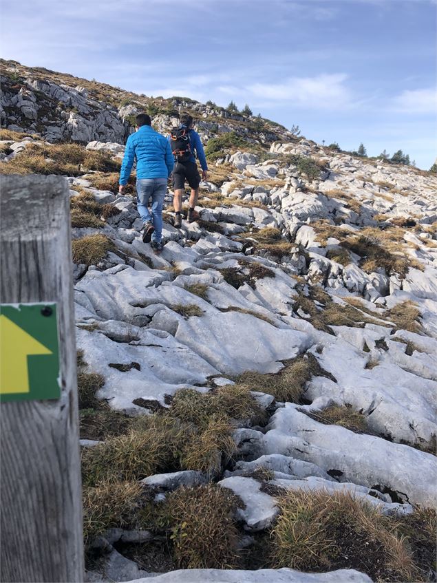 Sentier - CAMT
