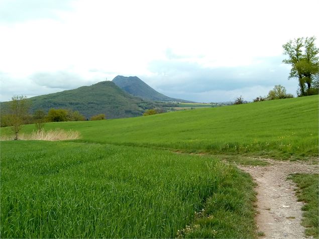 Sentier des Croix - Alter'Alpa Tourisme