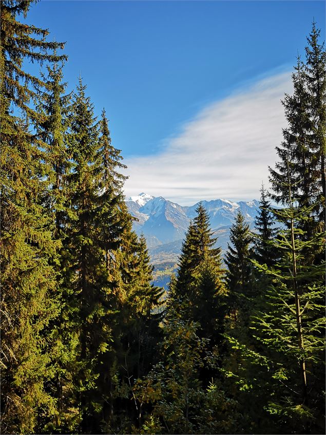 Montée de Tête Noire - © Cordon Tourisme
