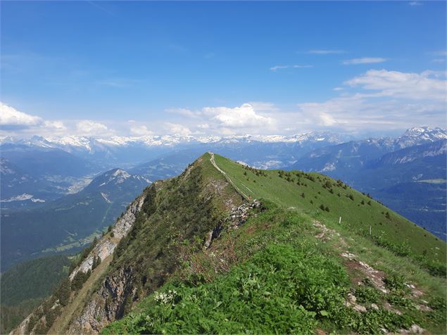 Sommet du môle - 1863 m - Môle & Brasses Tourisme