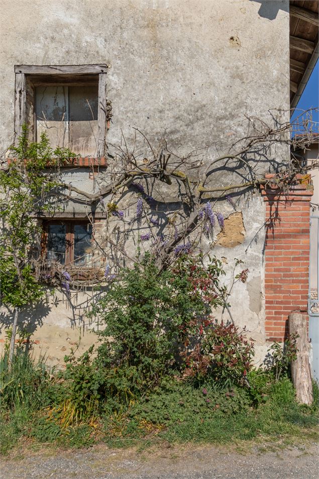 Ferme - M Zeilfelder