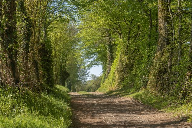 Chemin de terre - M Zeilfelder