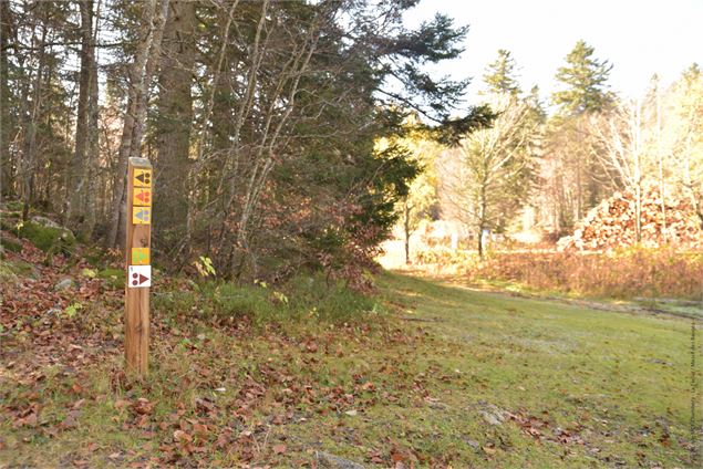 Intersection avant de rejoindre la route (droite) - école de VTT La Féclaz - Massif des Bauges