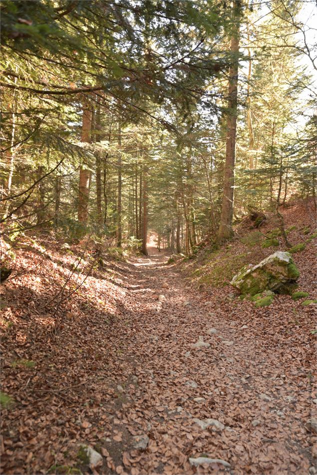 dernier single - Louis Garnier Photography – Grand Chambery Alpes Tourisme