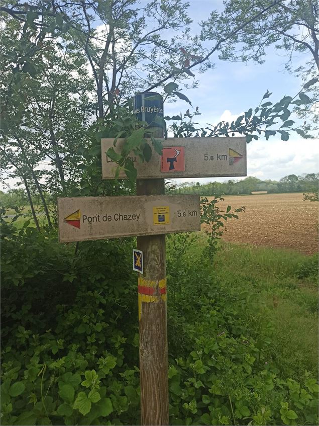 Sentier Chazey Sainte Julie - K.Tranchina