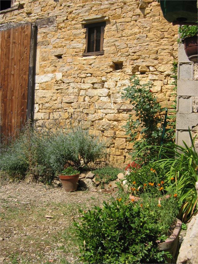 Tour de la Forêt de la Motte  - Site du Grand Brûle - GBA